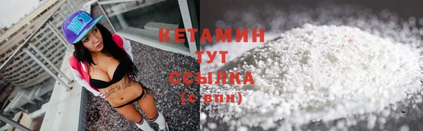 индика Краснослободск