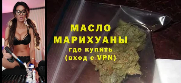 индика Краснослободск
