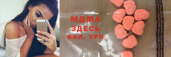 индика Краснослободск
