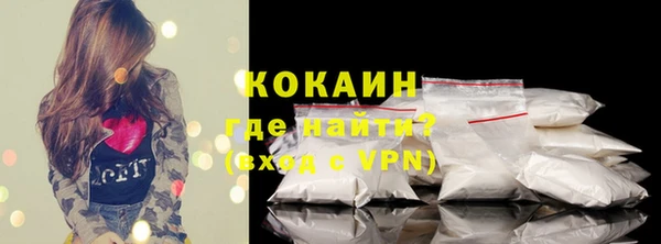 индика Краснослободск