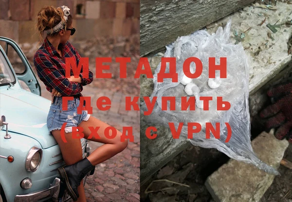 индика Краснослободск