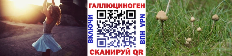 Галлюциногенные грибы Cubensis Никольское